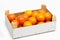 Clementine tray on a white background