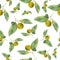 Clementines. Citrus on white background. Seamless watercolor pattern