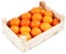 Clementines in container