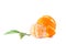 Clementines isolated