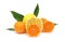 Clementines mandarin oranges and grapefruit