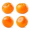 Clementines set on a white background, different foreshortening. Isolated
