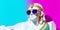 Cleopatra marble gypsum statue wearing a colorful sunglasses on party colored background. Generative AI