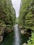 Cleveland Dam - Capilano River - Wooden Bridge Cross