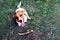 Clever obedient loyal dog Jack Russell Terrier brought a stick to the owner. Command for a dog aport. Dog training concept