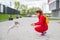 Clever puppy Jack Russell Terrier plays with the owner on the street. A purebred shorthair dog jumps into the arms of a