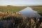 Cley marshes nature reserve,