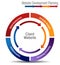 Client Website Development Planning Wheel Chart