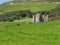 Clifden Castle entrance in ruins