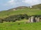 Clifden Castle entrance in ruins