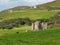 Clifden Castle entrance in ruins