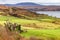 Clifden Castle with farm, ocean and mountains