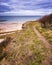 Cliff on the Baltic Sea between Ahrenshoop and Wustrow, Mecklenburg-Vorpommern