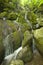 Cliff Branch Falls, Great Smoky Mtns NP, TN