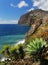 Cliff Cabo Girao at southern coast of Madeira 02