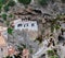 Cliff house in Atrani, Italy