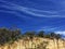 Cliff landscape with gum trees by blue sky and wispy clouds