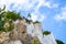 Cliff Landscape. Moens Klint, Denmark