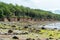 Cliff line on the weast coast of the german island Poel