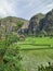 Cliff, lush greenery and valley