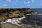 Cliff Over the Animal Flower Cave, Barbados.