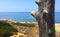 Cliff scene from the Sunset Cliffs Natural park near Ocean Beach, San Diego, California