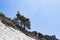 A cliff top with trees against a bright blue sky with sun highlights in a wild beach area. Stunning summer landscape