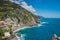 Cliff with vegetation and vineyards and turquoise mediterranean sea, Vernazza ITALY