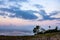 Cliff view of pacific ocean with sunrise, palms, and cypress