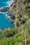 Cliff vineyard with aerial view of the railway and tunnel, Vernazza ITALY