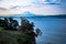 Cliffhanging Tree over Elliot Bay