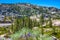 Cliffs Above Donner Lake