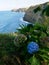 Cliffs on the atlantic ocean seen from miradouro da Rocha on the island of Sao Miguel