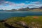 Cliffs and beach in Borgarfjordur Eystri, Iceland, inhabitated by beautiful Puffin birds, wandering around the place on a summer