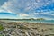 Cliffs and beach with driftwood, Tolaga Bay, New Zealand