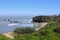 Cliffs and Beaches with Elephant Seals on the Pacific Coast, Ano Nuevo State Park, Big Sur, California, USA