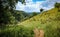 Cliffs of Cheddar Gorge from high viewpoint. High limestone cliffs in canyon in Mendip Hills in Somerset, England