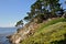 Cliffs, Cypress Trees and Ocean, Carmel