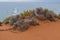 Cliffs and dunes at the Costa Vicentina Natural Park, Southwestern Portugal