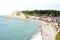 The cliffs of Etretat and Gull in Normandy