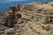 Cliffs and geological unconformities at the Costa Vicentina Natural Park, Southwestern Portugal