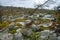 Cliffs and megalithic stone `seid`,  on small swamp  top mountain Vottovaara, Karelia, Russia