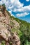 Cliffs mountain and pine trees coniferous trees growing on the slopes, vertical frame