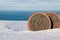 Cliffs of the North Cape: the large round statues