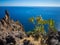 Cliffs over Las Teresitas beach