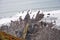 Cliffs and Shale Rock Layers on North Devon Coast near Hartland Quay, England, UK