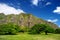 Cliffs and trees of Kualoa Ranch, Oahu