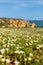 Cliffs view on Lagos, Algarve