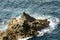 Cliffs and waves at Land End, Cornwall