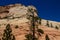 Cliffs of Zion National Park in Utah USA with cliffs that have been uplifted tilted and eroded - a layer between Bryce and the
